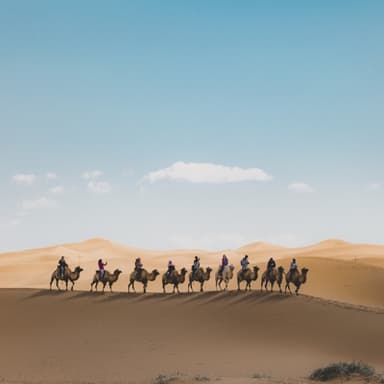 Desert landscape