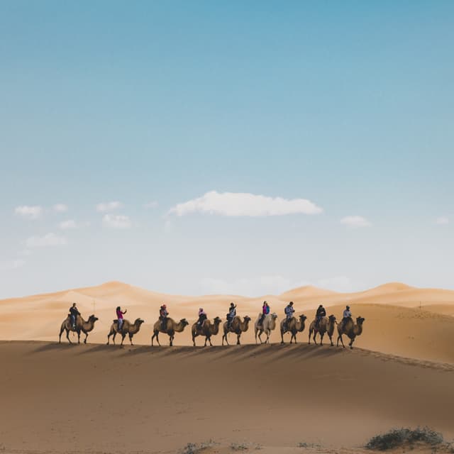 Silk Road History