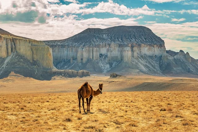 Mangystau Desert Expedition